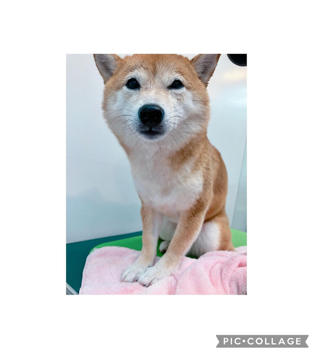 画像1523