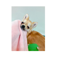 画像1540