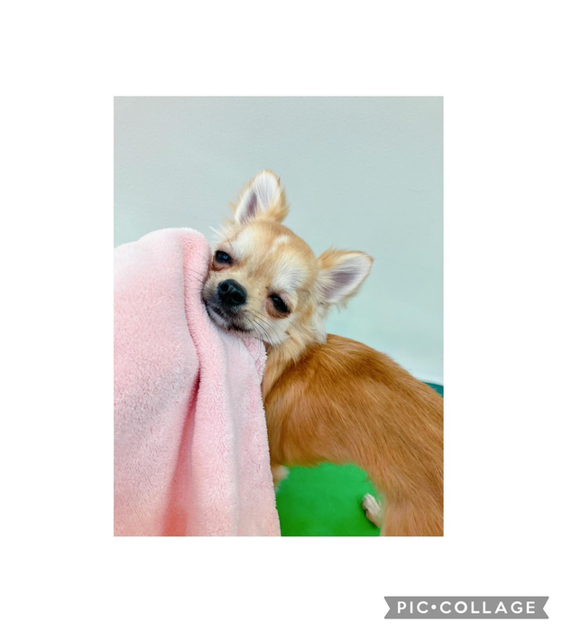 画像1540