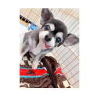 画像1559