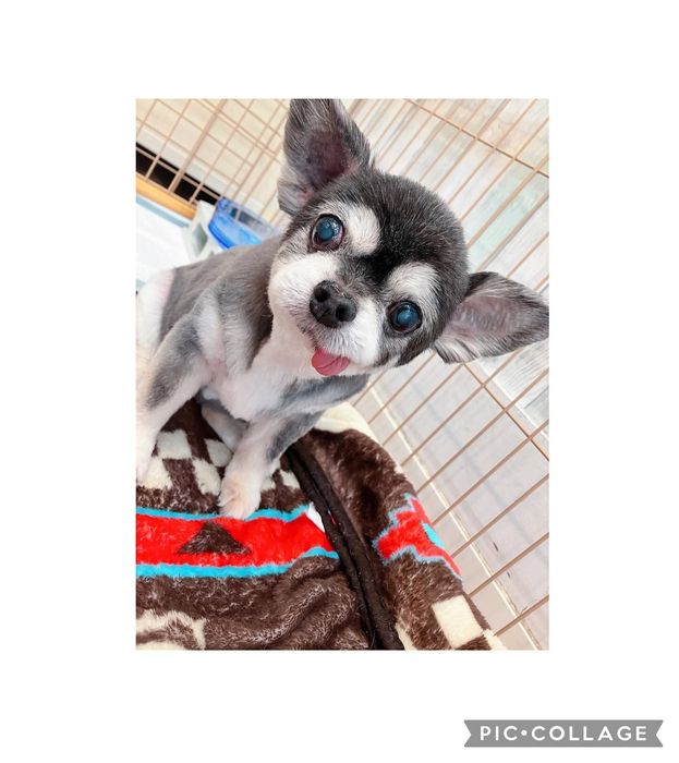 画像1559
