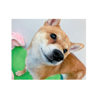 画像1704