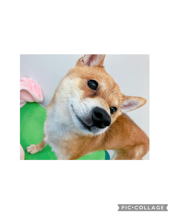 画像1704