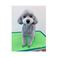 画像1719