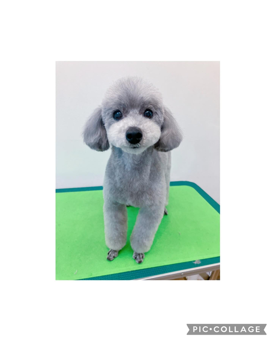 画像1719