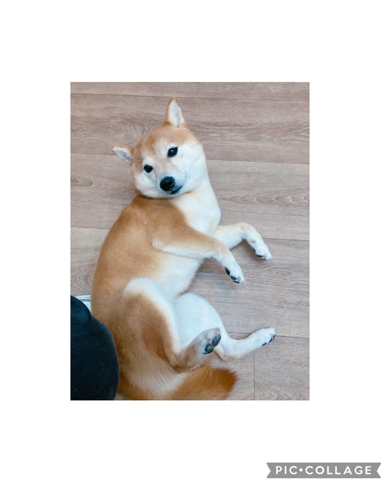 画像1732