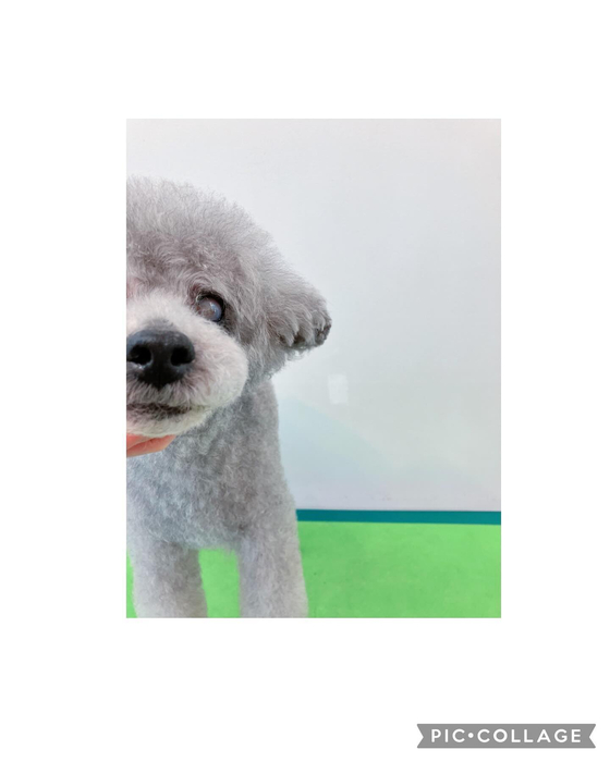 画像1852