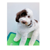 画像1949