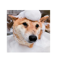 画像2038