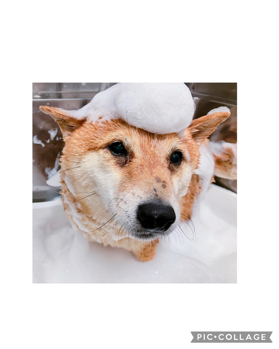 画像2038
