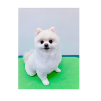 画像2047