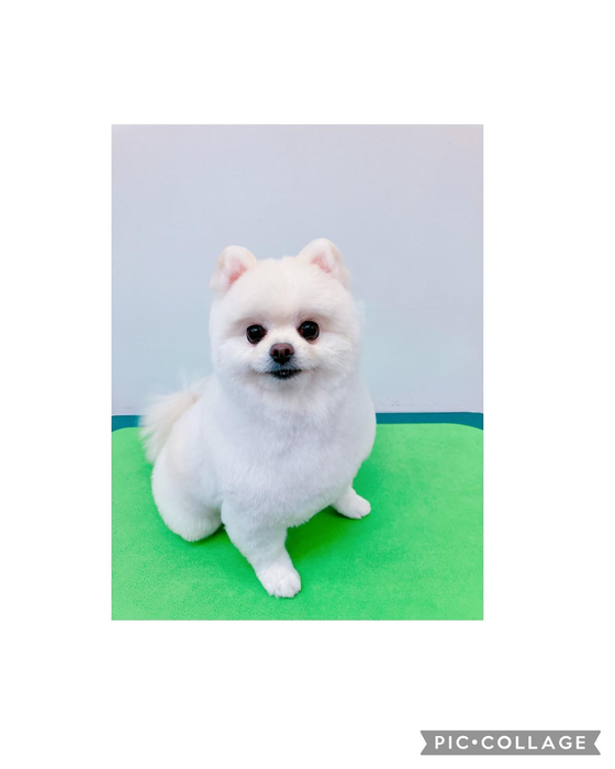 画像2047