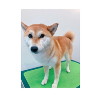 画像2077