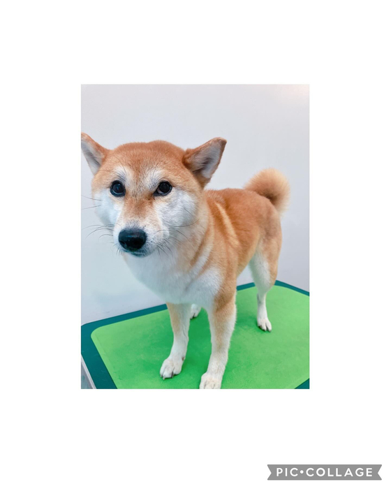 画像2077