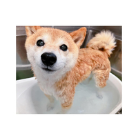 画像2080