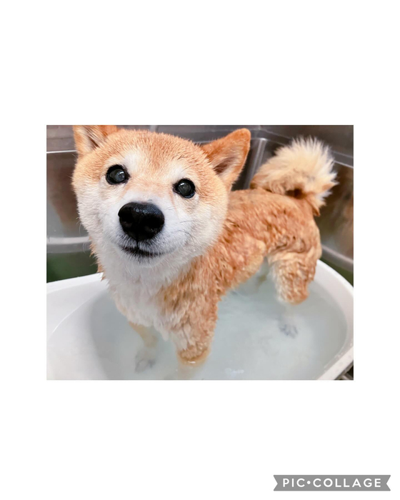 画像2080