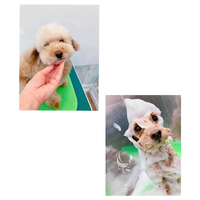 画像2111