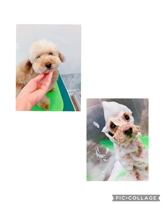 画像2111