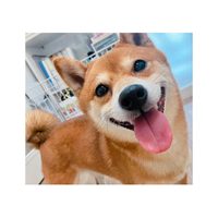 画像2116