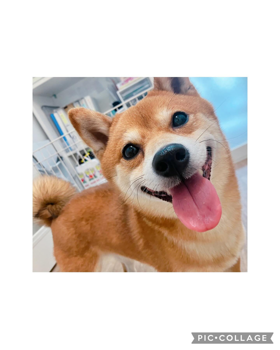 画像2116