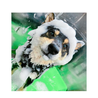 画像2119