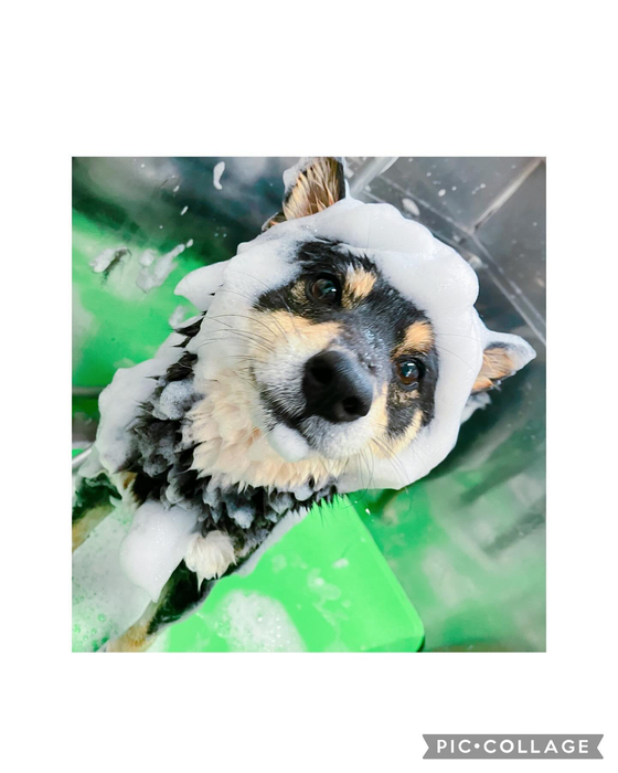 画像2119
