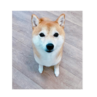 画像2122