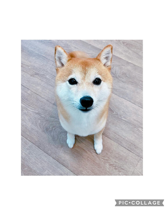 画像2122