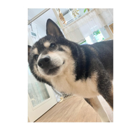 画像2154