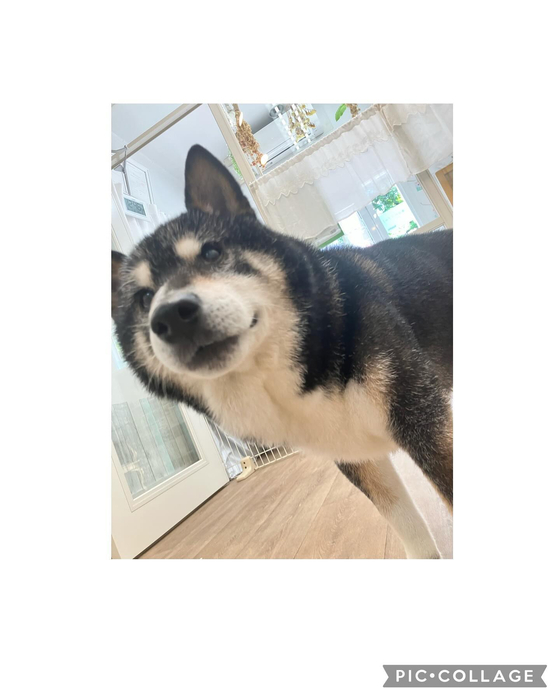 画像2154