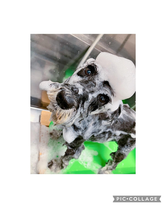画像2157