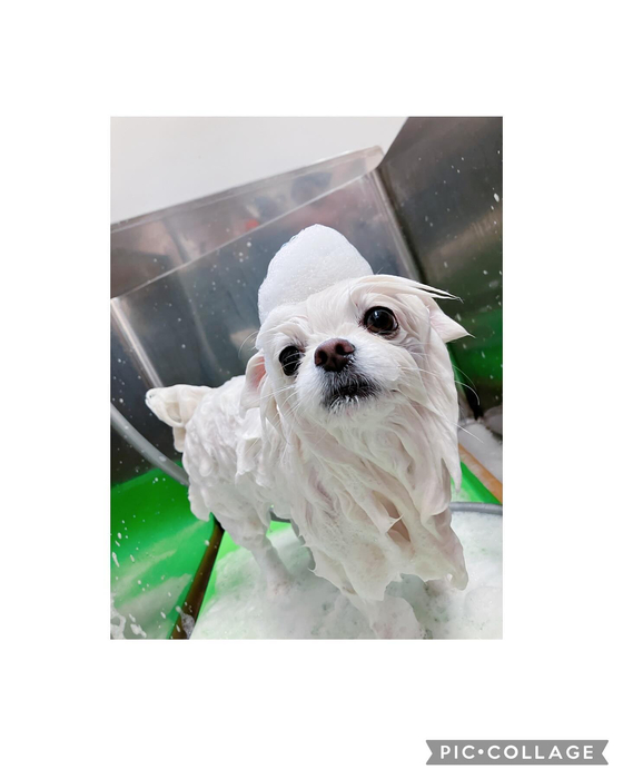 画像2194