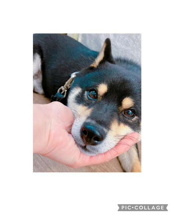画像2218