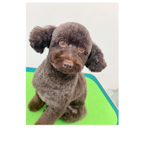 画像2233