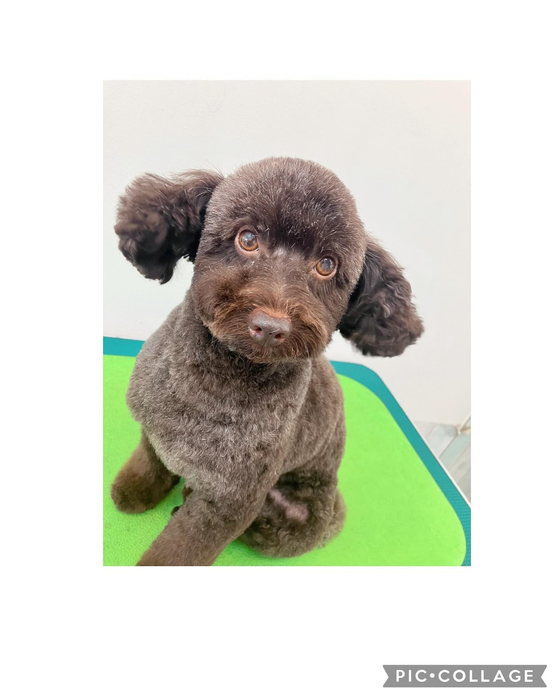 画像2233