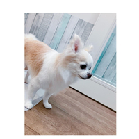 画像2240