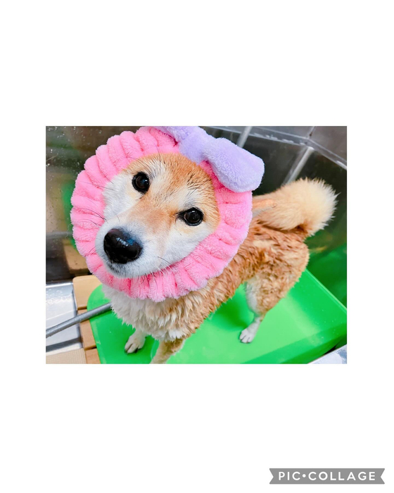 画像2258