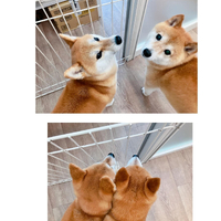画像2262