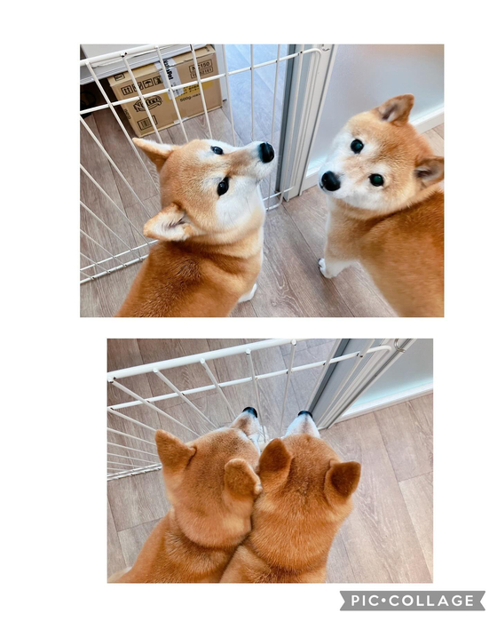 画像2262