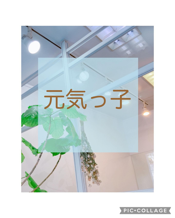 画像2283