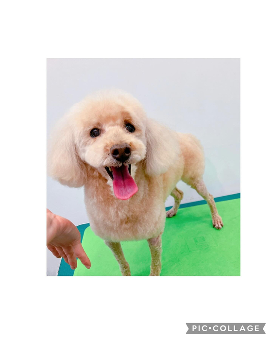 画像2308
