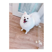 画像2326
