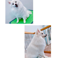 画像2327