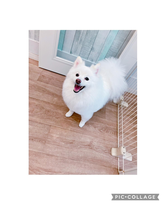 画像2329