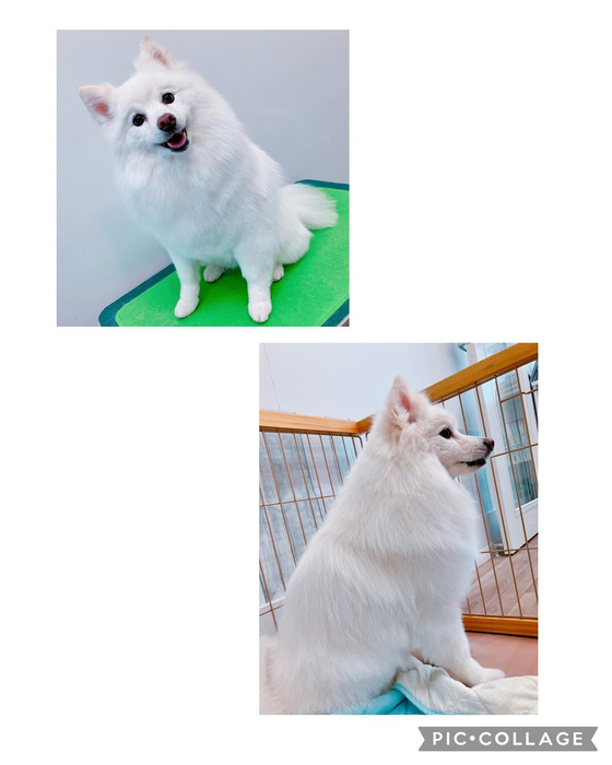 画像2330