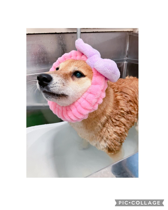 画像2343