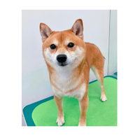 画像2349