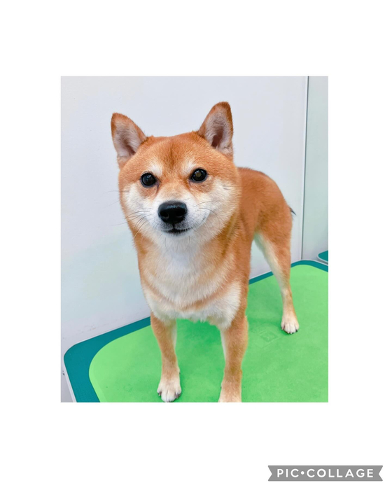 画像2349