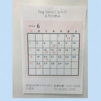 画像236