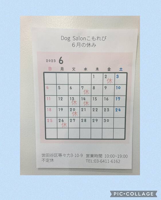 画像236